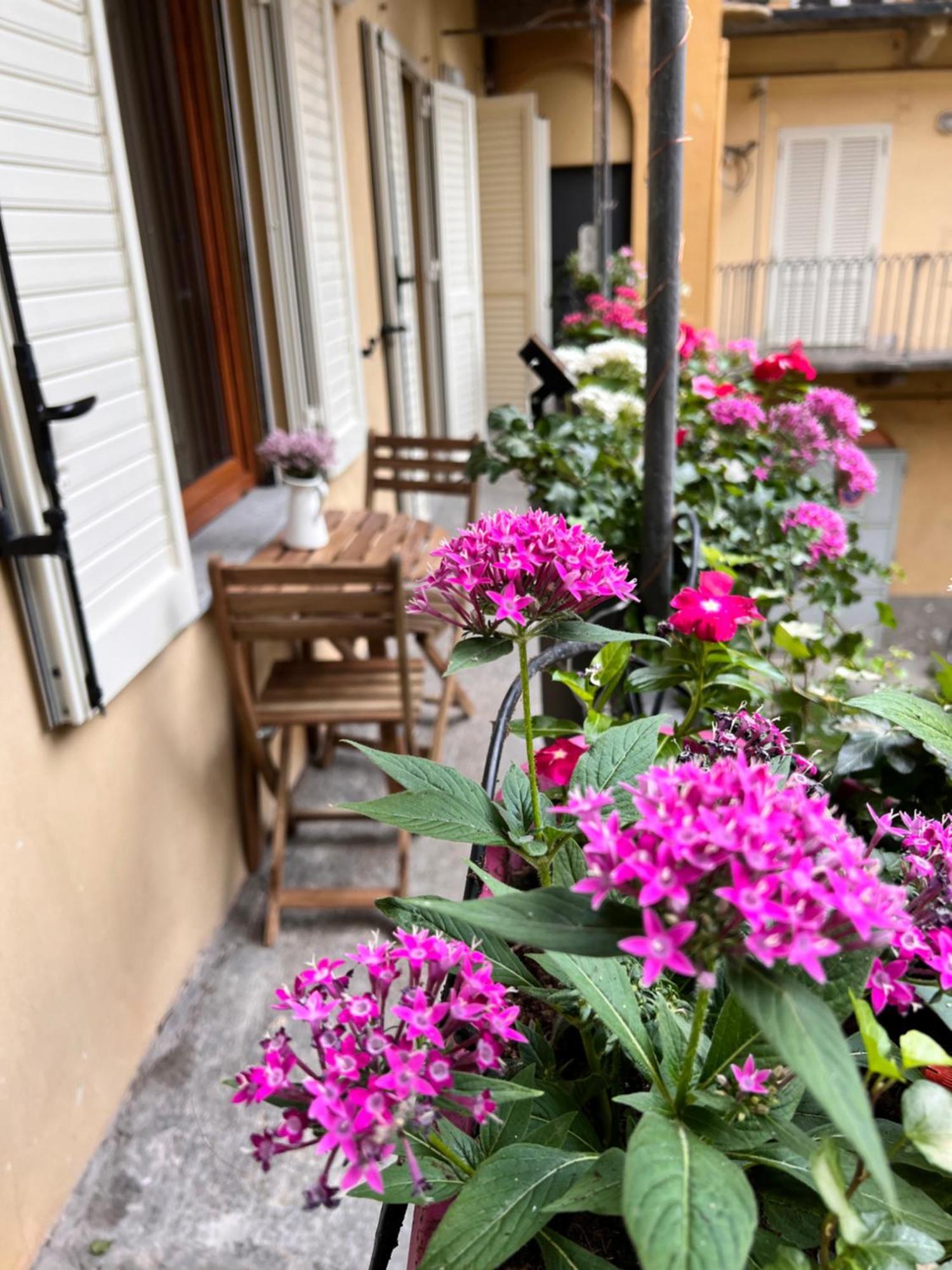 La Corte Luxury Suite - Torino Centro ภายนอก รูปภาพ